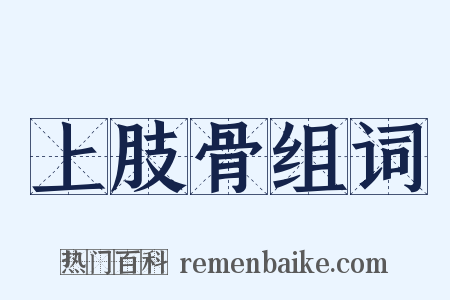 上肢骨组词是什么意思的图片